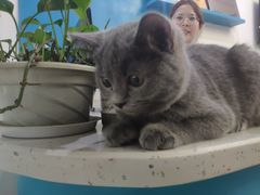 -贝利宠物医院·骨科·眼科·肿瘤转诊中心(南坪诊疗中心)