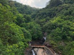 -广州白江湖森林公园