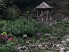 -深圳仙湖植物园