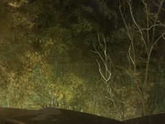 -天目湖御水温泉·度假酒店