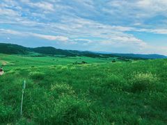 -塞罕坝国家级自然保护区