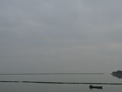 -合肥滨湖国家森林公园