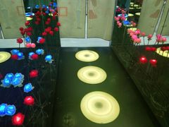 -武汉5D星空错觉艺术馆(中心百货店)