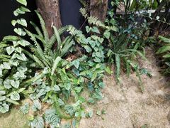 -时间仓(月湖公园店)