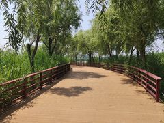 -绿堤公园