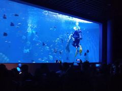 -乌鲁木齐海洋馆