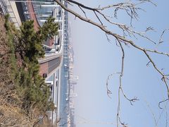 -星海湾跨海大桥