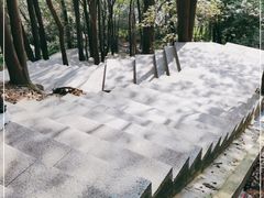 -火炉山森林公园
