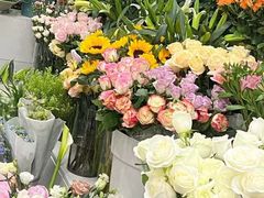 -淘花源花艺鲜花店 开业花篮 绿植(南部商务区店)