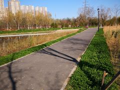 -永定河休闲森林公园