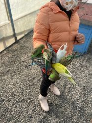 -萌宠亲子动物乐园(槐房万达店)