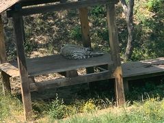 -石家庄市动物园