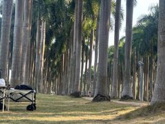 -南宁花花大世界景区