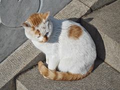 -伯先公园