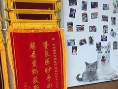 -瑞派中心宠物医院·CT·核磁·神经专科