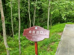 -汤旺河林海奇石景区
