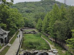 -白水寺森林公园