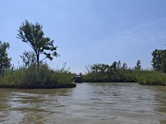 -泗洪洪泽湖湿地景区