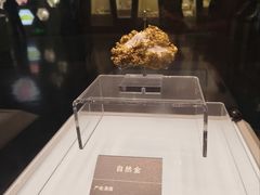 -安徽省地质博物馆