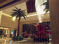 iphone_upload_pic-常州环球恐龙城维景国际大酒店