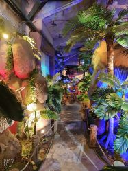 -恐龙探索乐园(磁器口店)