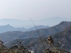 -妙峰山风景名胜区