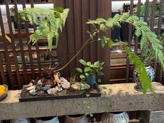-九福楼大酒店