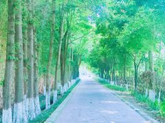 -夏河溪乡野公园