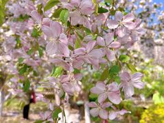 -元大都城垣遗址公园