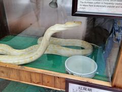 -上海大自然野生昆虫馆(东方明珠·爬宠昆虫探索中心)