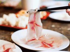 鲜切斑鱼片-食玉轩临江鱼捞