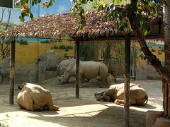-西安秦岭野生动物园