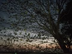 -湖南东洞庭湖国家级自然保护区