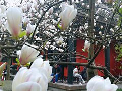 -成都武侯祠博物馆