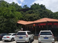 -鲤鱼塘农家山庄