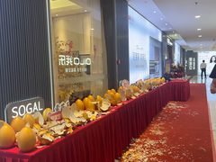 -索菲亚衣柜橱柜全屋定制(真北红星店)