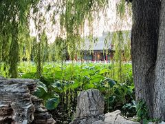 -莲池书院博物馆