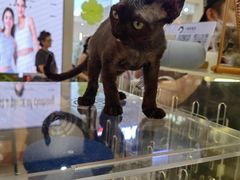 -万达广场(槐房店)