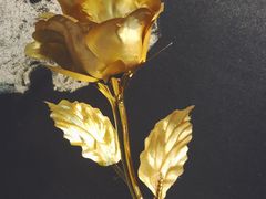 -志龙皇冠吃货椰子铺