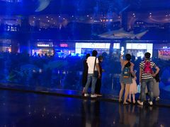 -成都浩海立方海洋公园