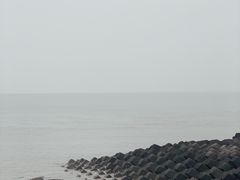 -碧海金沙