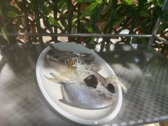 -黄寺蒸汽海鲜(黄寺大街店)