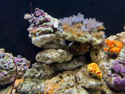 -Zoolung Zoolung动物主题公园(海信广场店)