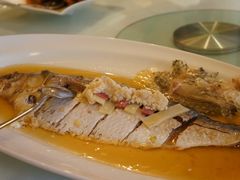 清蒸鲥鱼-福1039(愚园路店)