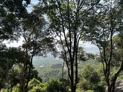 -火炉山森林公园