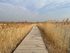 -野鸭湖国家湿地公园