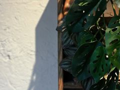 -云里小坐·小院里·团建·宴请·下午茶(三圣乡店)