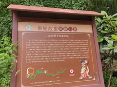 -凤栖山