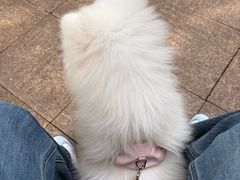 -联合动物医院(光谷诊疗中心)