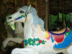 -上海共青森林公园